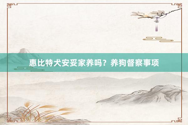 惠比特犬安妥家养吗？养狗督察事项